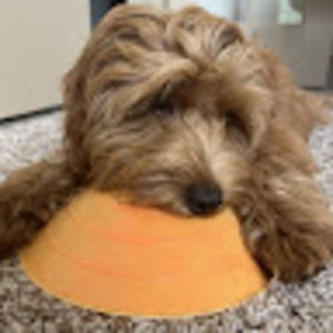 Meet your Posher, Gabe